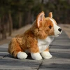 Welsh Corgi Dog High Fidelity Anime Cute Plushie Corgi Plush Toys Lifelike Animals Simulation Stuffed Doll Kawai Toy Gifts Kids 1