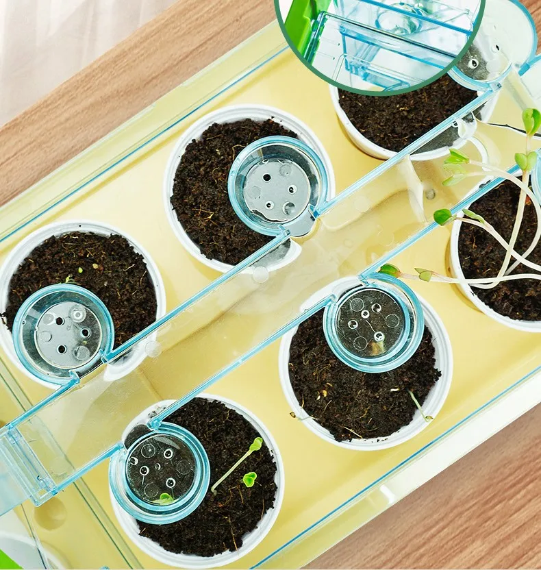 Activity Plant Children'S Planting Homework Experience The Fun