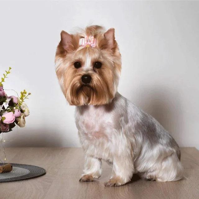 Fiocchetti Per Cani Con Elastico - 20 Pezzi Colorati - Per Decorare Il Pelo Del Cane - Foto 5