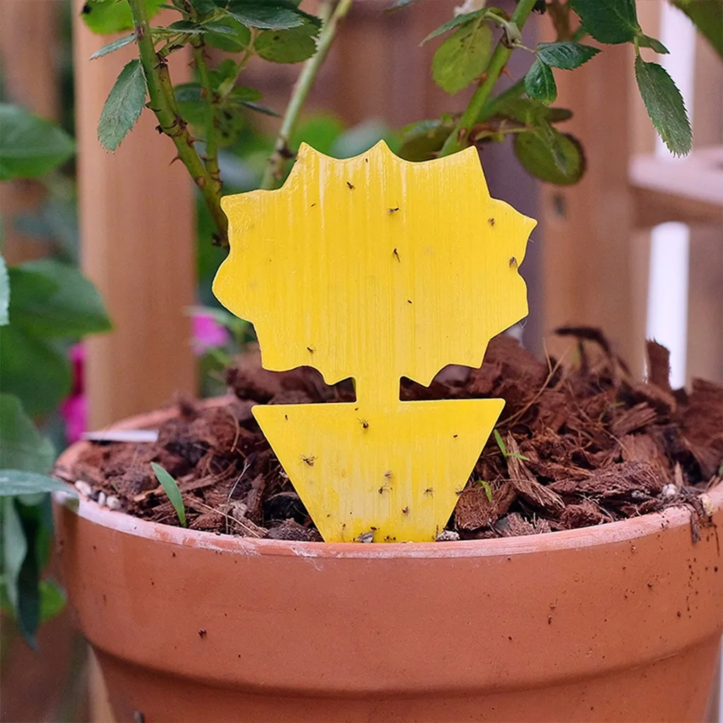 Double-sided-Sticky-Trap-Insect-Board-Mosquito-Trap-Board-Insect-Sticker-Control-Trap-Stick-Garden-Accessories.jpg Kétoldalas, Ragacsos Csapda Rovarleszka Szúnyog Csapdabeszka Rovarmatrica Vezérlő Bot Kerti Tartozékok Növényi Csapdák - Image 2