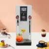 Steam Milk Frother 3.2Gal, 3000W Automatic Steam Boiling Water Machine, 2-Wand, Controllable 2