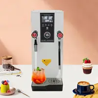 Steam Milk Frother 3.2Gal, 3000W Automatic Steam Boiling Water Machine, 2-Wand, Controllable 2