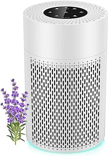 

Large HEPA Air Purifier (326 ft²)