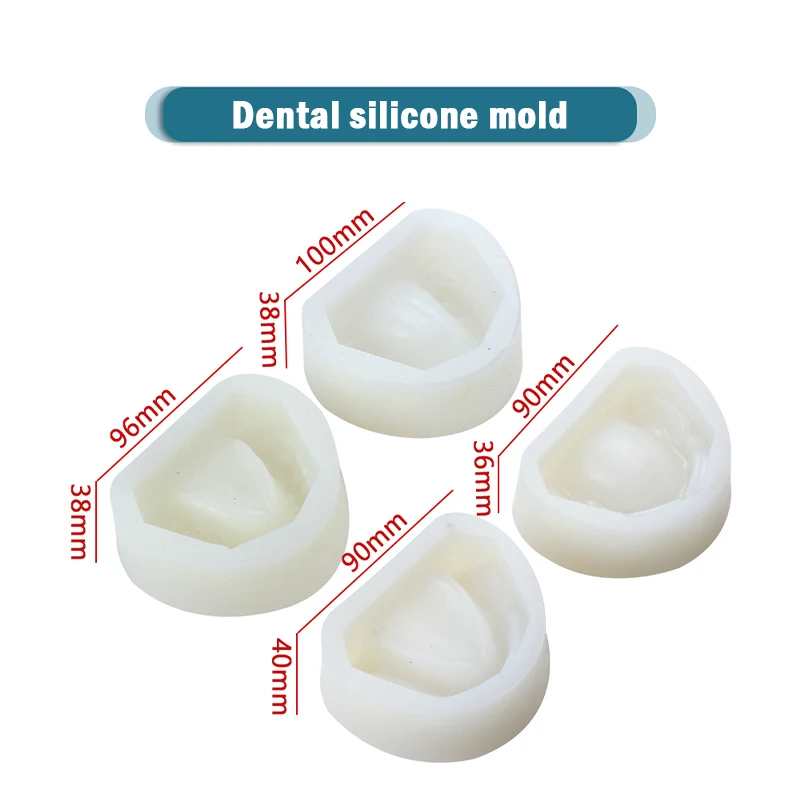 

Dental Mold Mould of Edentulous Jaw Complete Cavity Block with Teeth Without Teeth Denal Materials Silicone Dental Tools