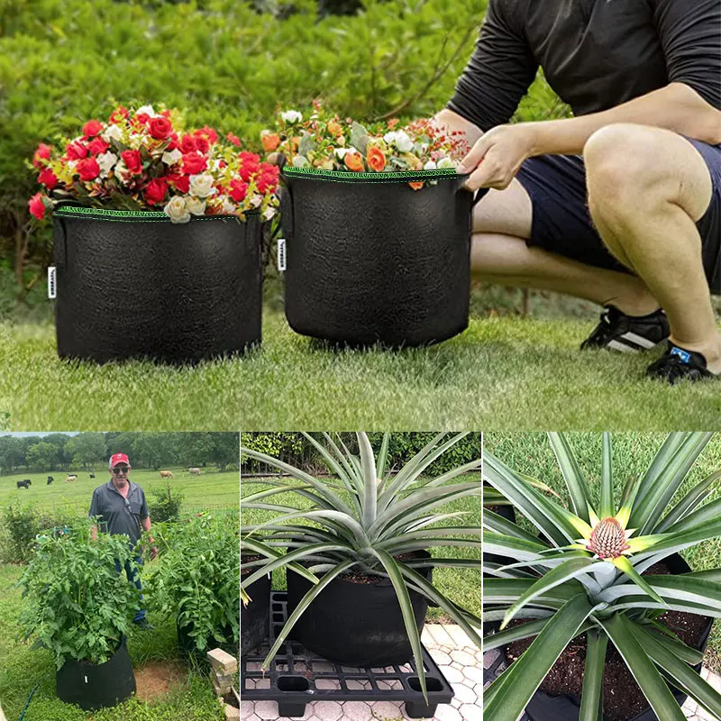 https://ae01.alicdn.com/kf/Sbab26b0b661845ad8f8683c4df7aea106/2-3-5-7-10-Gallon-Grow-Bag-Felt-Planter-Growing-Gardening-Vegetable-Pineapple-Potatoes-Flower.jpg