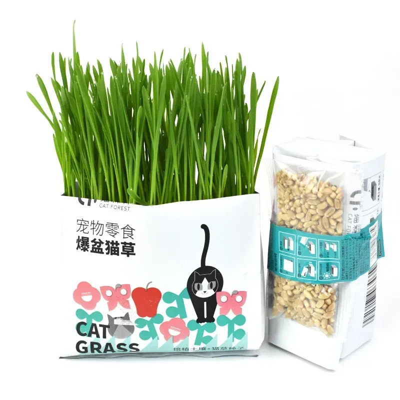Cat Grass Cat Snacks Hair Ball Grass Potted with Seeds Promote Digestion