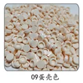 09 Eggshell color