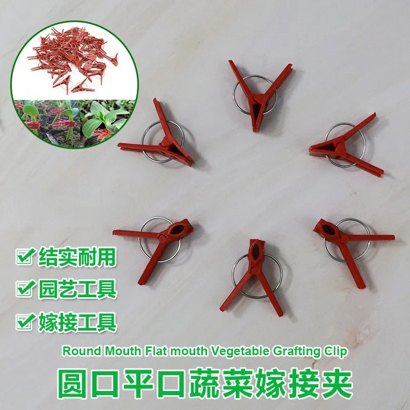 

50 Vegetable Graft Cucumber Graft Watermelon Melon Clip Round Mouth Flat Mouth Eggplant Graft Plastic Clip
