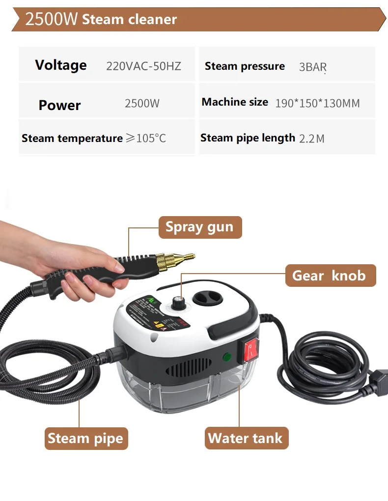 2500W Steam Cleaner High Temperature Sterilization Air Conditioning Kitchen Hood Car Cleaner Home Appliances 110V/220V 6