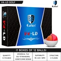 12Pcs Golf Ball