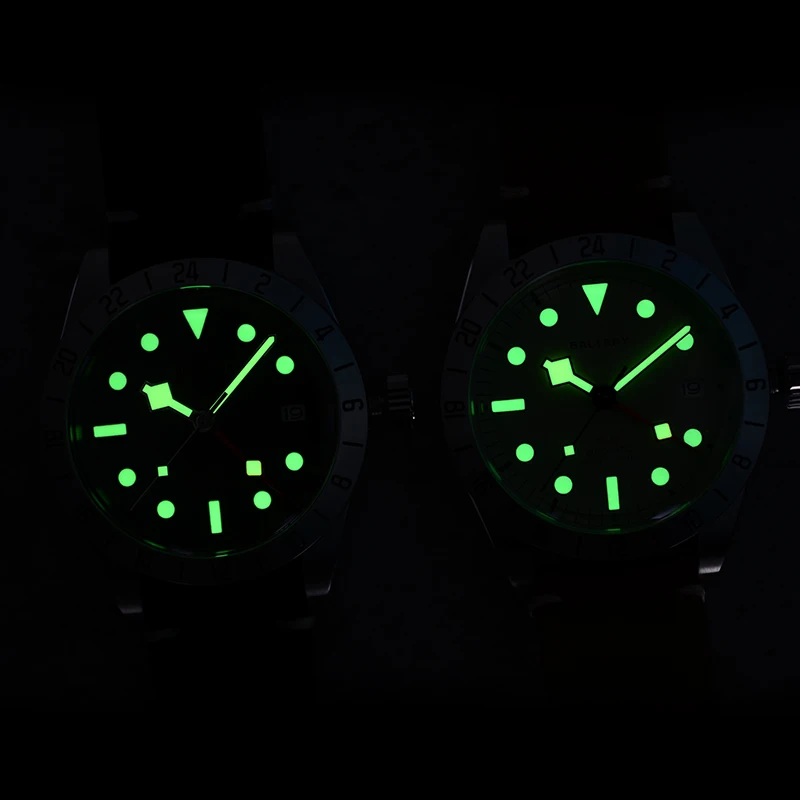 Baltany Retro GMT Watches NH34 39mm 316L Case Snowflake Hand 200M Waterproof Swiss Luminou Stainless Steel Automatic Wristwatch