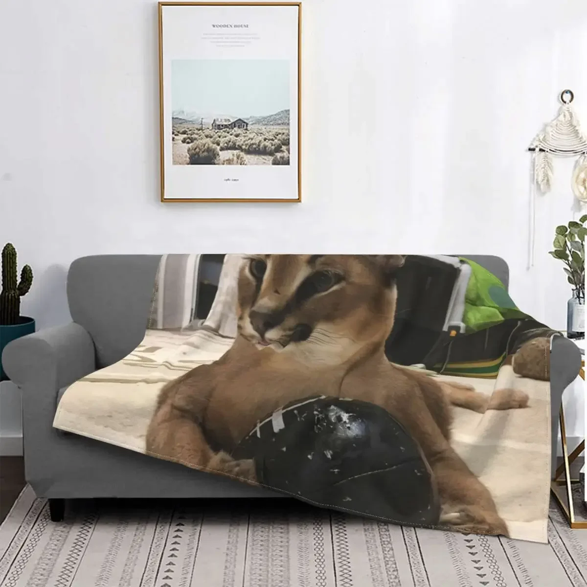 Big Floppa Caracal Cat Cute Meme Blanket Soft Coral Fleece Warm Flannel Warm Throw Blankets for Sofa Car Bedroom Quilt Bedspread 2