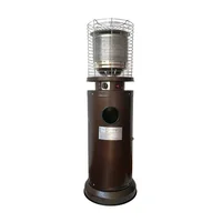 Winter Room Vegetation Outdoor Restaurant Courtyard Natural Gas Liquefied Gas Water Patio Heater 2