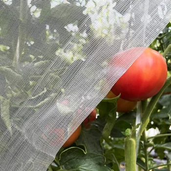 Vegetables Plant Insect Protection Net Garden Fruit Care Cover Network Greenhouse Protective Net Pest Control Anti-Bird Net