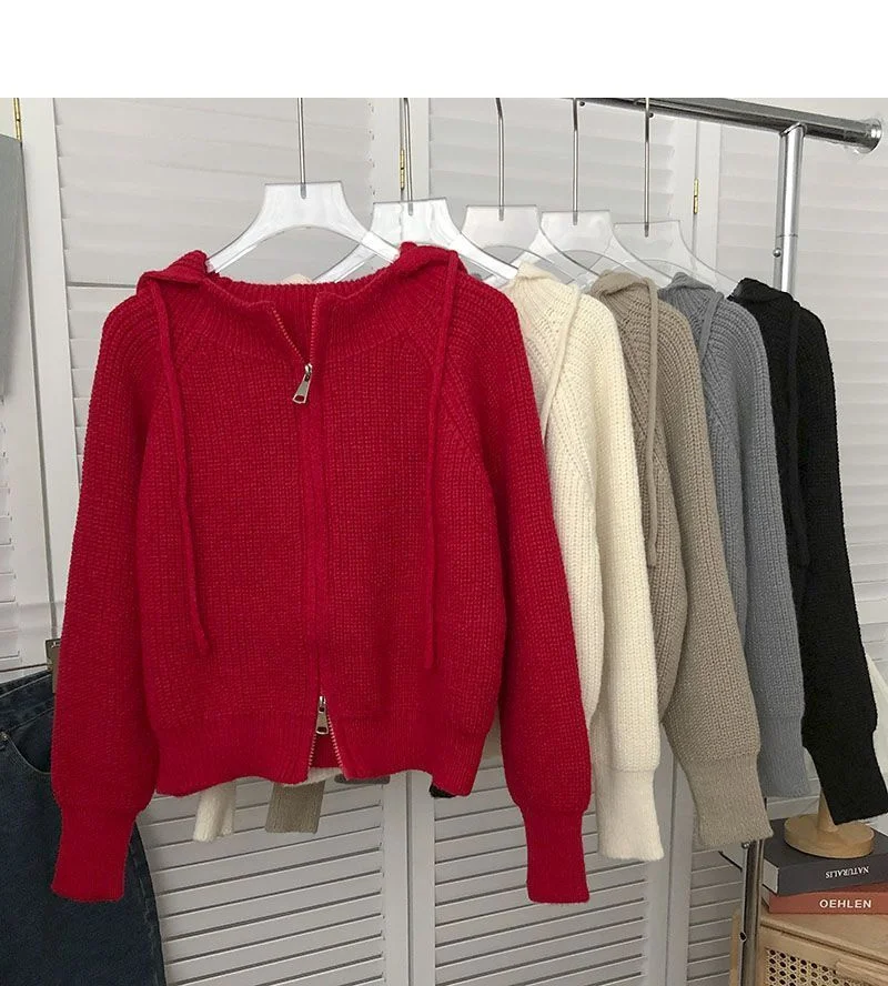 Double Zipper Drawstring Hooded Gray Long-sleeved Sweater For Women 2023 Autumn Fashion Korean Version Of Loose Coat Sweater