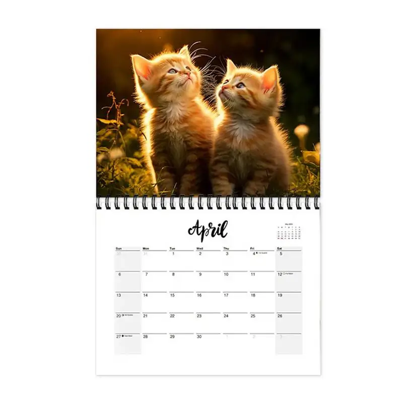 

Календарь Настенный с забавным котенком, 21 х28 см, 2025