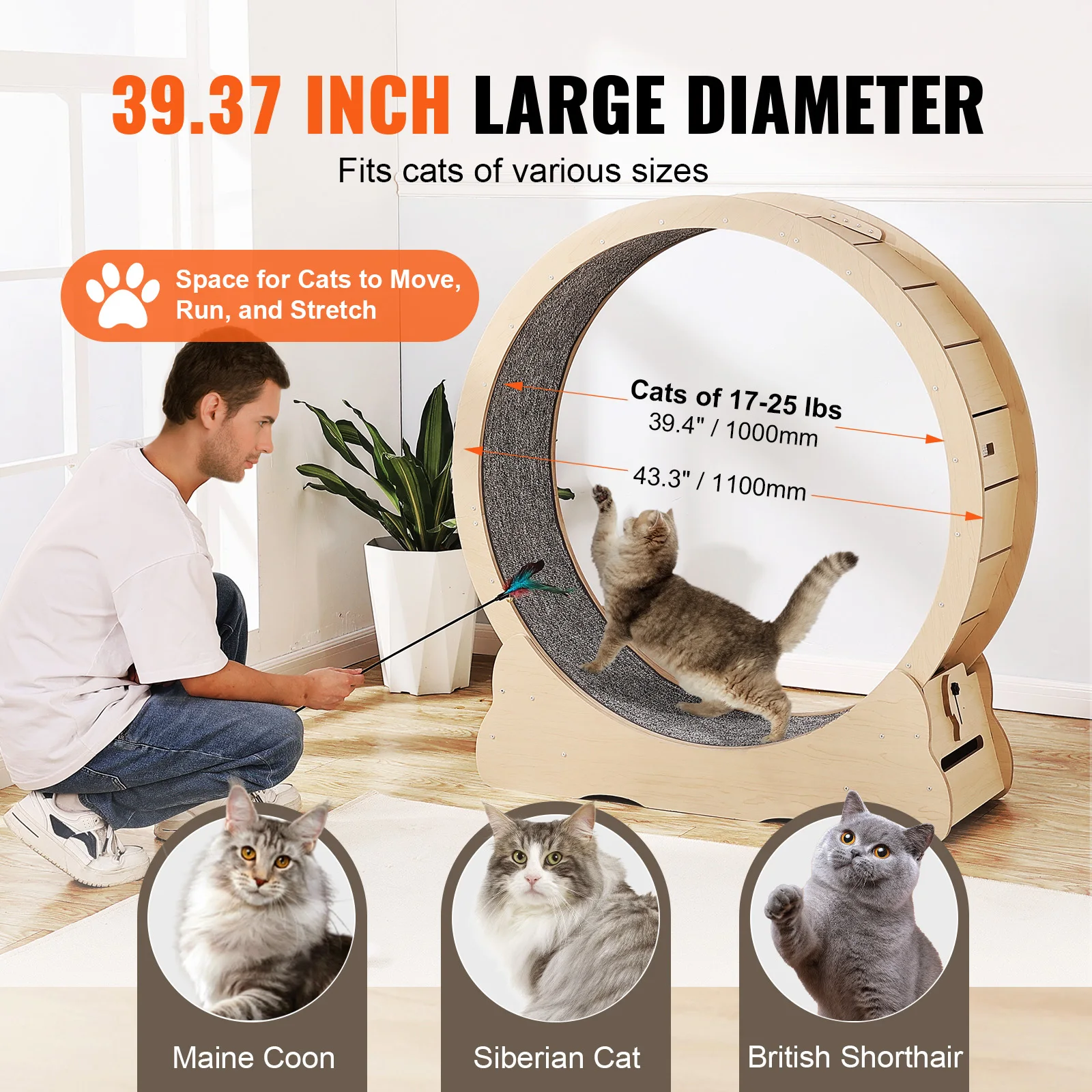 Wooden Cat Exercise Wheel 4