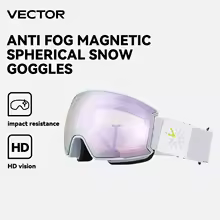 Ski Goggles