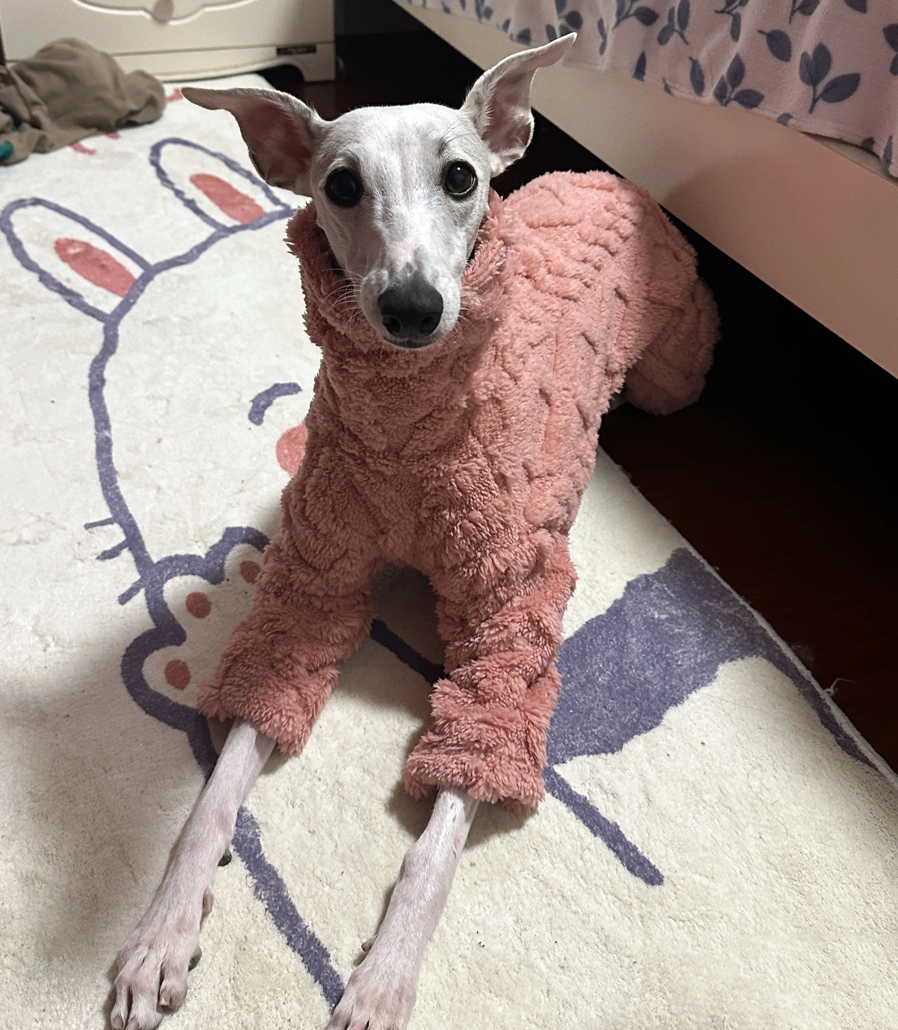 

Italian Little Lingti Whitbit Bellington Long Fleece Four legged Clothes Double Fleece Warm Four legged Clothes Pet Clothes