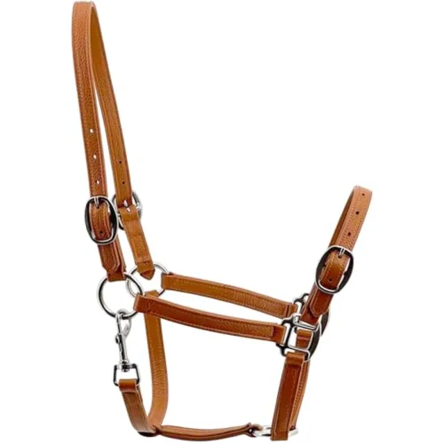 Horse halter for equestrian use soft leather with fancy stitching brown padded noseband and crown for comfort stainless steel h