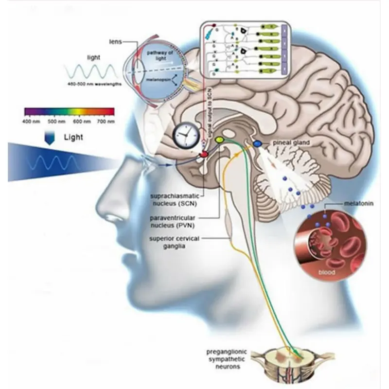 Slide image 669e5d11dee34609be17016ca28e3ac4