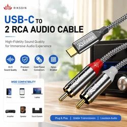 Premium USB C to RCA Audio Cable with DAC for High - Quality Sound Output (Grey)