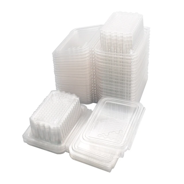 10Pcs Food Grade Plastic Honeycomb Square Box