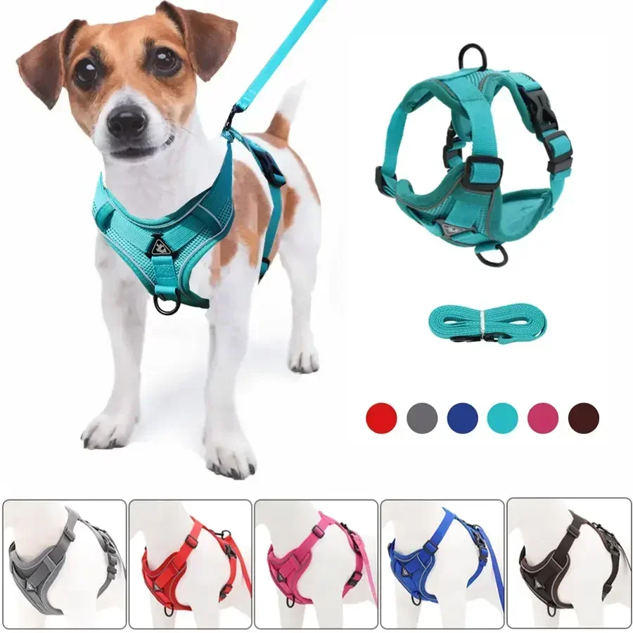 Pet Harness and Leash Set Adjustable For Small Dogs Cats
