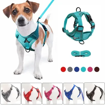 No Pull Harness and Leash Set 1