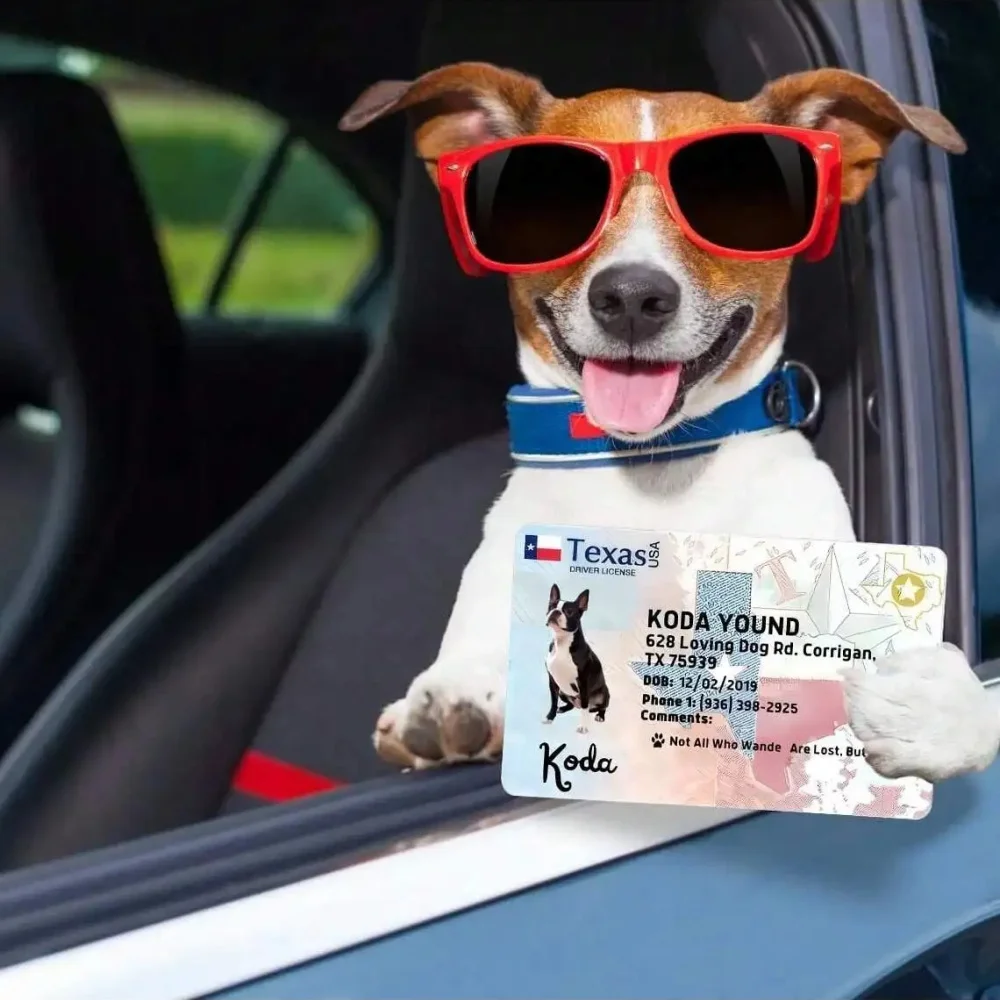 맞춤형 반려견 카드, 반려동물 카드, 개인 맞춤형 반려동물 ID 카드, 반려동물 생일 선물, 완벽한 지갑형 반려동물 카드, 반려동물 선물