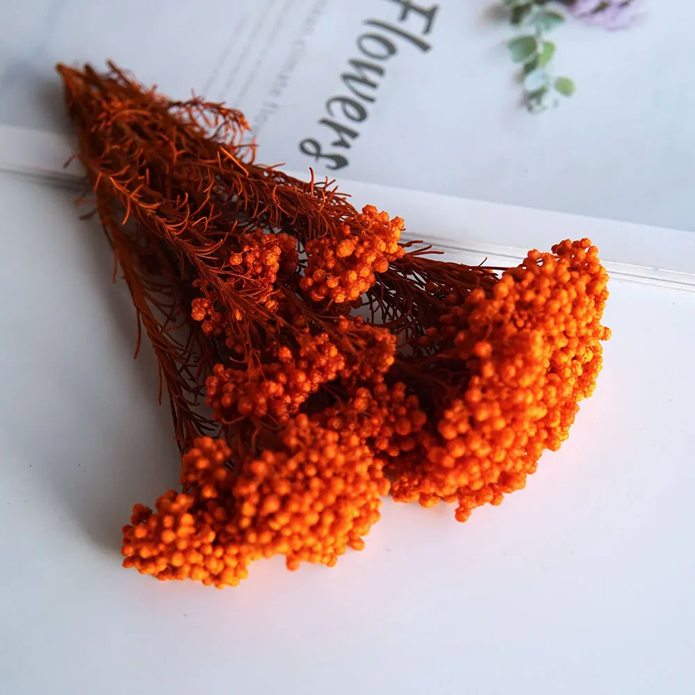 Elegant Preserved Rice Flower for Home and Office Decor – Ideal for DIY Crafts and Handmade Candle Projects