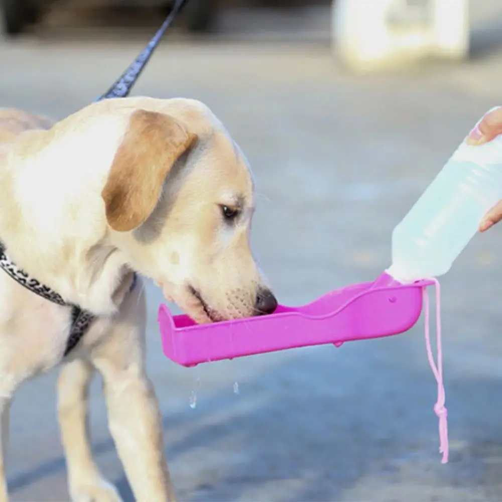 Portable Pet Water Bottle 2