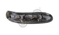 

3107002 for mirror signal right R230 R171 R171 original