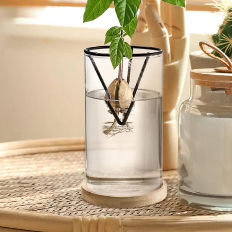 3 Pack Avocado Tree Growing Kits, Glass Avocado Seed Vase With Triangle Bracket And Bamboo Base, Sprouting Plant Pot 3