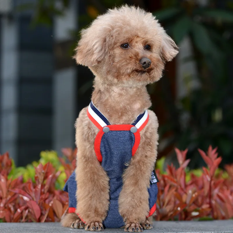 Cat Dog Female Panties Denim Strap Pet Shorts Small Dogs Cats Kitten Puppy Underclothe Anti-harassment Safety Panties dog shorts