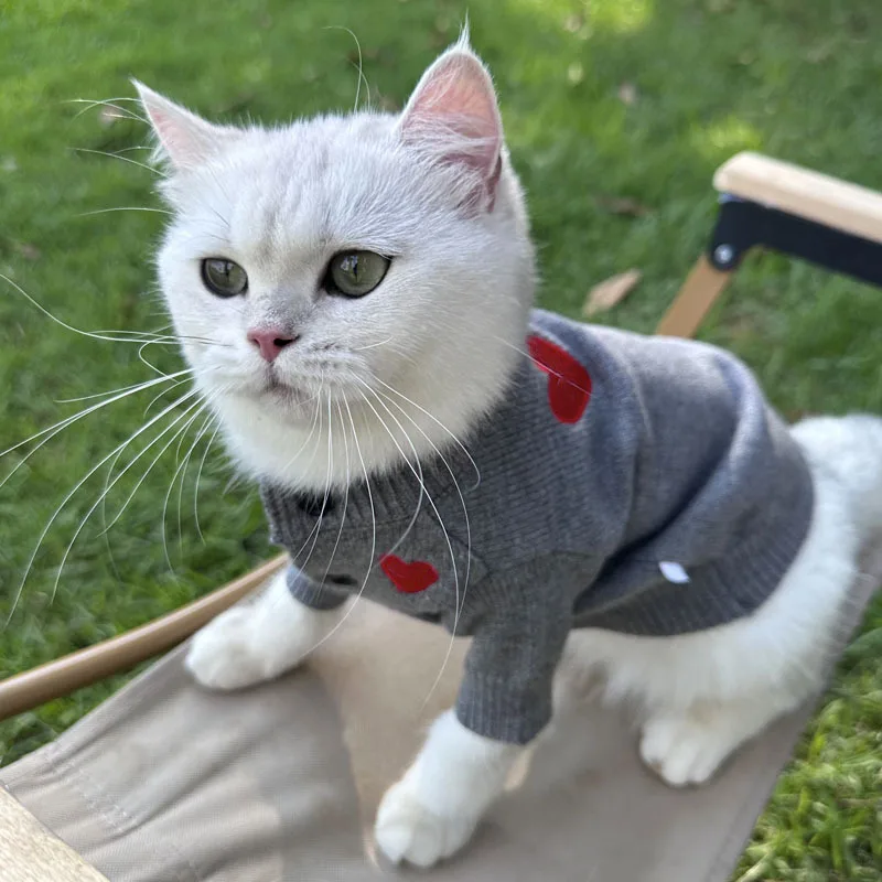 Cárdigan Simple de Color sólido para mascotas pequeñas y medianas