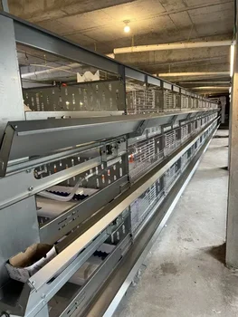 Chicken Cage Poultry Cage Large Intelligent Automatic Feeding Automatic Egg Collection with Egg Collection System 3