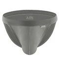 Lightgray