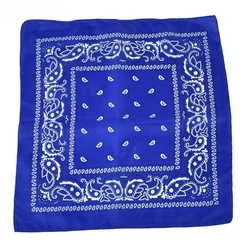 Chic Wine Red Retro Scarf Band Accessory (Blue)