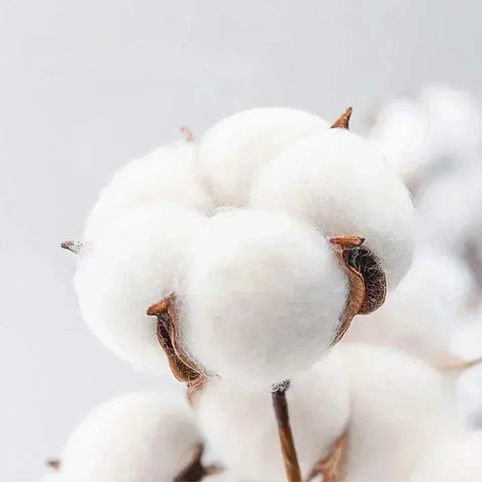 2025-2026 신상 빈티지 스타일 FEAR FACTORY 레거시 티셔츠 고품질 편안함