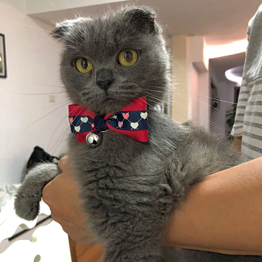 

Kitten Neck Strap Bow Tie for Cat, Breakaway Bowtie, Bell Collar for Small Dog, Puppy Pet Grooming Products