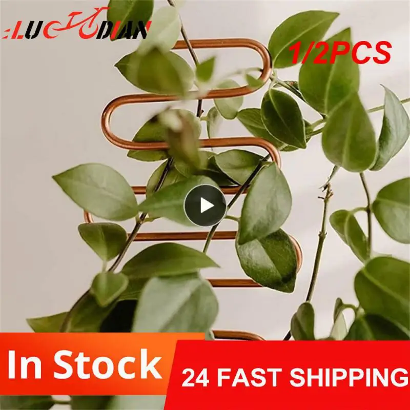 

1/2PCS Stable Household Garden Plant Climbing Support Frame 10 * 34cm Plant Fixing Rod Non Scratch Strong Toughness