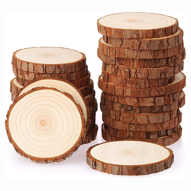 50Pcs Wood Slices For DIY Crafts 2-4CM Log Discs Round Centerpiece Dried  Natural