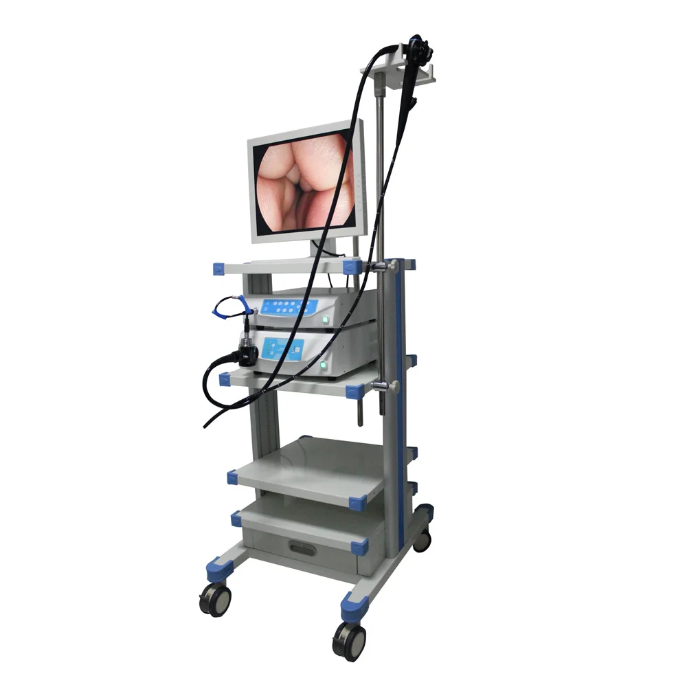 

IN-P044 HD medical Flexible Endoscopy System Video Gastroscope and Colonoscope endoscope system endoscopy