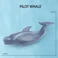 Pilot Whale