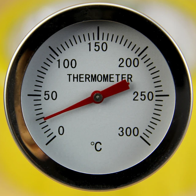 Thermomètre précis à lecture instantanée en acier inoxydable, pour