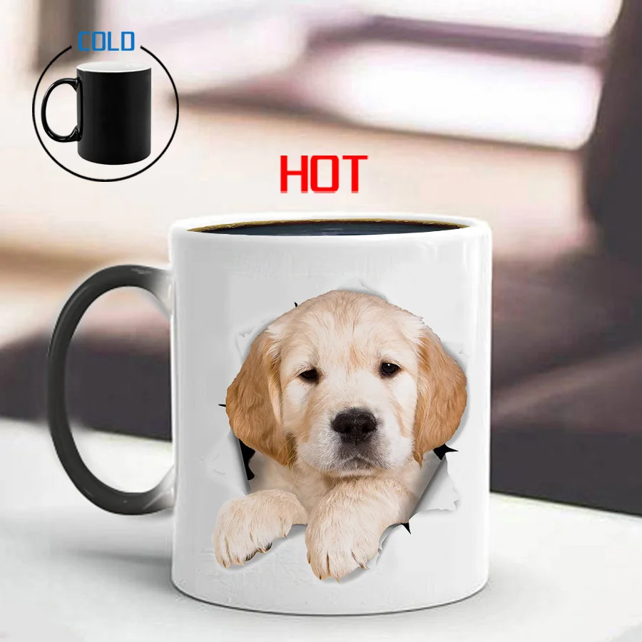 IMG_5120(20191116-155349)