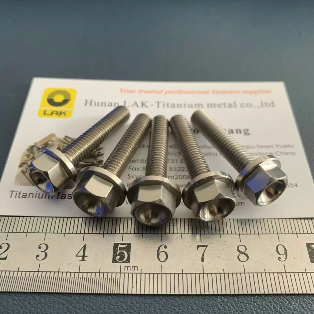 Premium Gr5 Titanium Hexagon Flanged Screws/Bolts