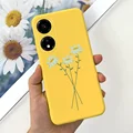 Case-c60