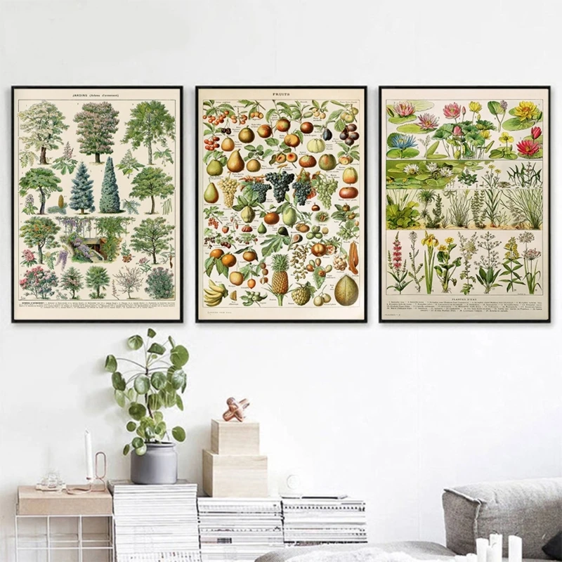 Unframed Paper Mushroom Poster Flower Poster Plant Educational Reference Chart Wall Art Decorations for Classroom